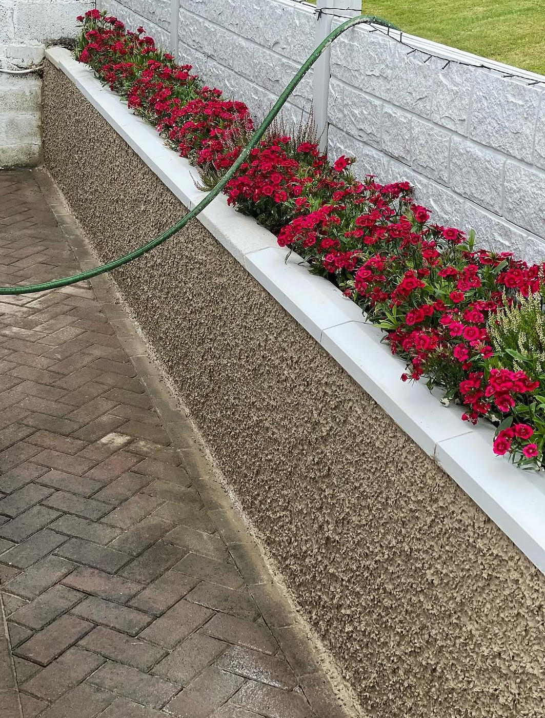Pebble-dash wall beside a flower bed
