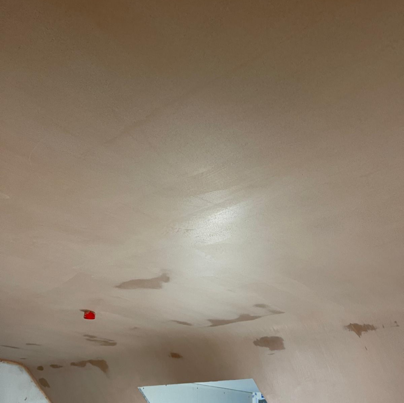 Smooth plastered ceiling