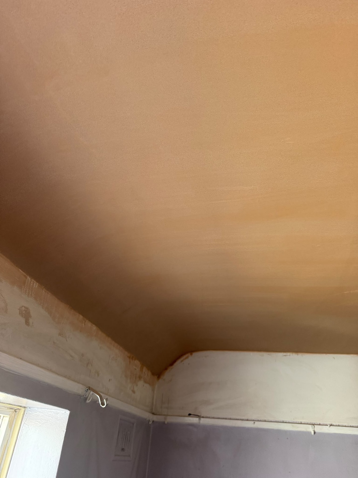Smooth plastered ceiling meeting coving